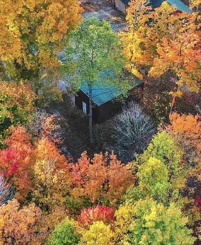 A secluded cabin surrounded by an array of trees displaying vibrant autumn colors. Rich reds, oranges, and yellows dominate the scene, framing the small structure with a green roof, which blends harmoniously with the natural landscape.