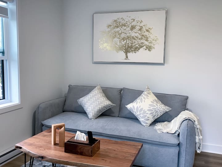Lovely Home Close To Dt - Montreal