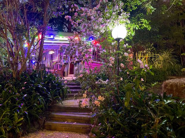 Lady Cha Cha’s Place gallery image 5