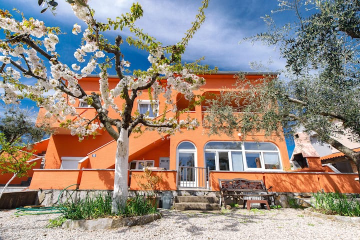 Apartment Pavacic A3 - Krk