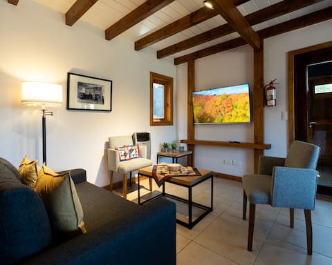 Propiedad de Airbnb exitosa: BLUE - Oliver Mountain Home en Neuquén