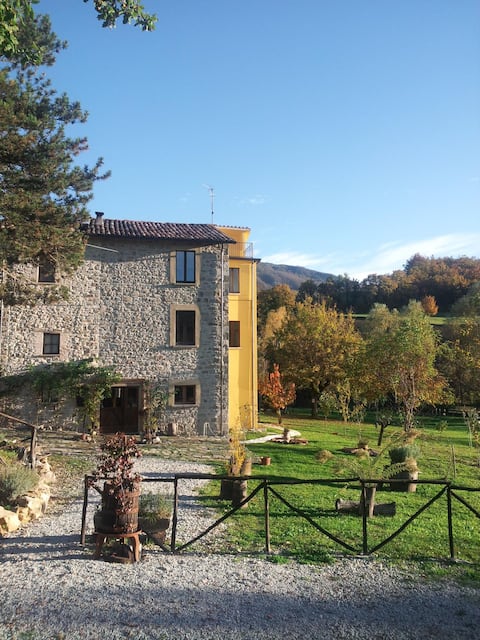 Historic Eco-sustainable House - Biricoccolo Room