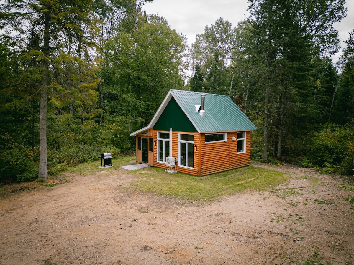 A charming chalet is set amidst trees and greenery, featuring a green metal roof and wooden siding. A small patio area is visible, along with a grill positioned nearby. The natural surroundings create a peaceful and inviting environment.