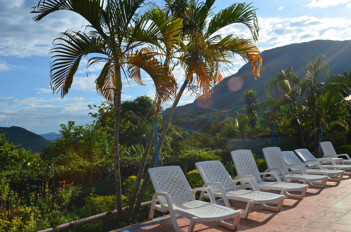 A line of white lounge chairs is positioned under palm trees, overlooking a green landscape with hills in the background. Dappled sunlight filters through the foliage, creating a serene setting for relaxation.