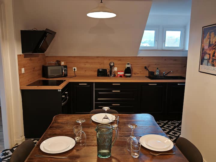 Chambre 1 Appartement Partagé Proche De Strasbourg - Marlenheim