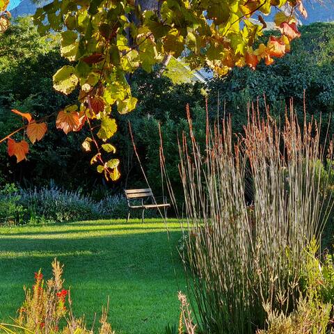 Tranquil Stylish Home w/ Nature Pool near Reserve gallery image 2