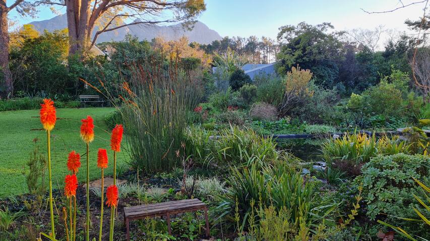 Tranquil Stylish Home w/ Nature Pool near Reserve gallery image 3