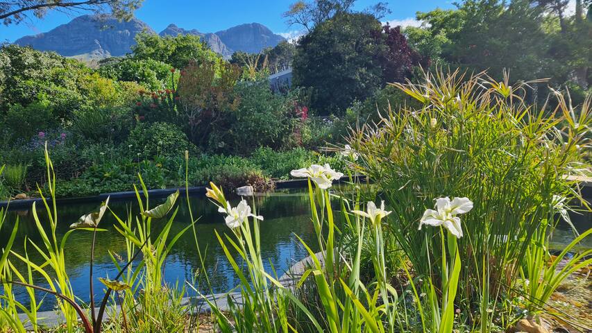 Tranquil Stylish Home w/ Nature Pool near Reserve gallery image 5