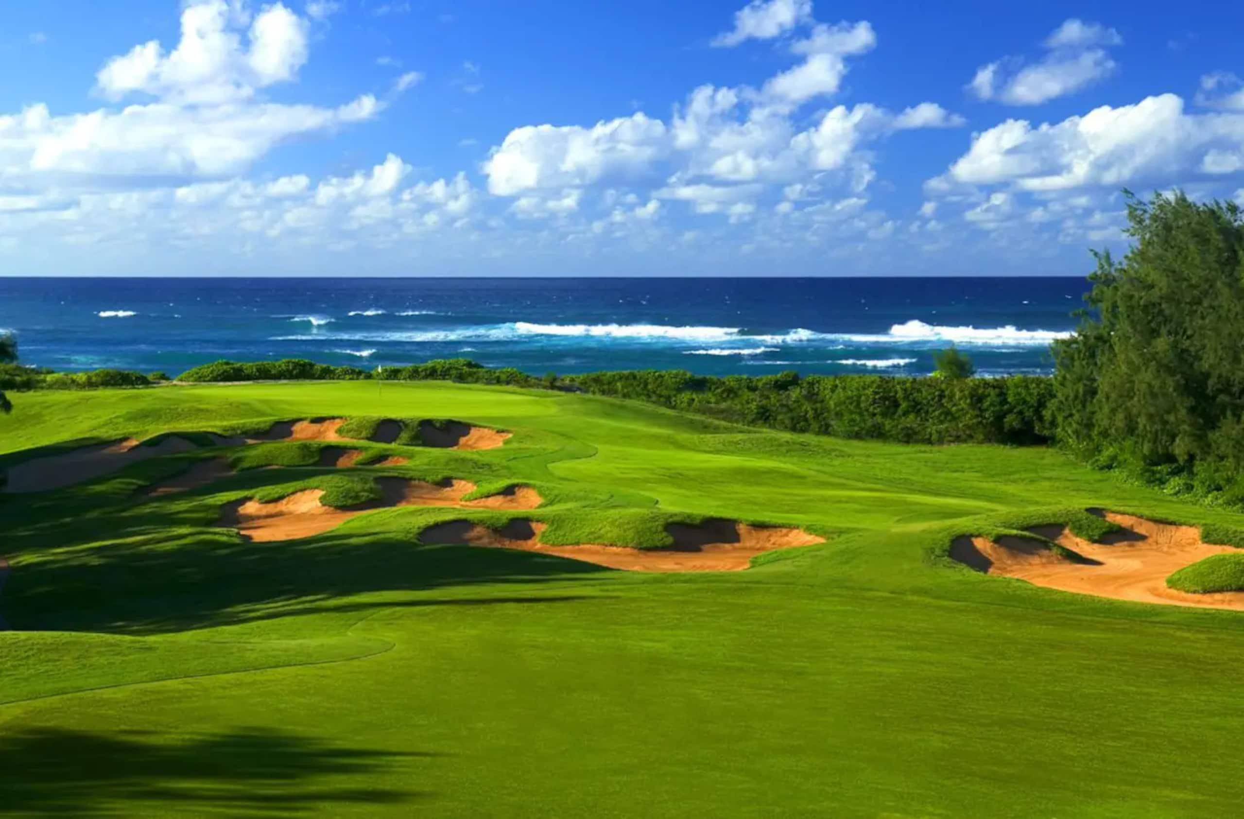 Condo in Kahuku · ★4.96 · 1 bedroom · 3 beds · 1 bath - Image 40