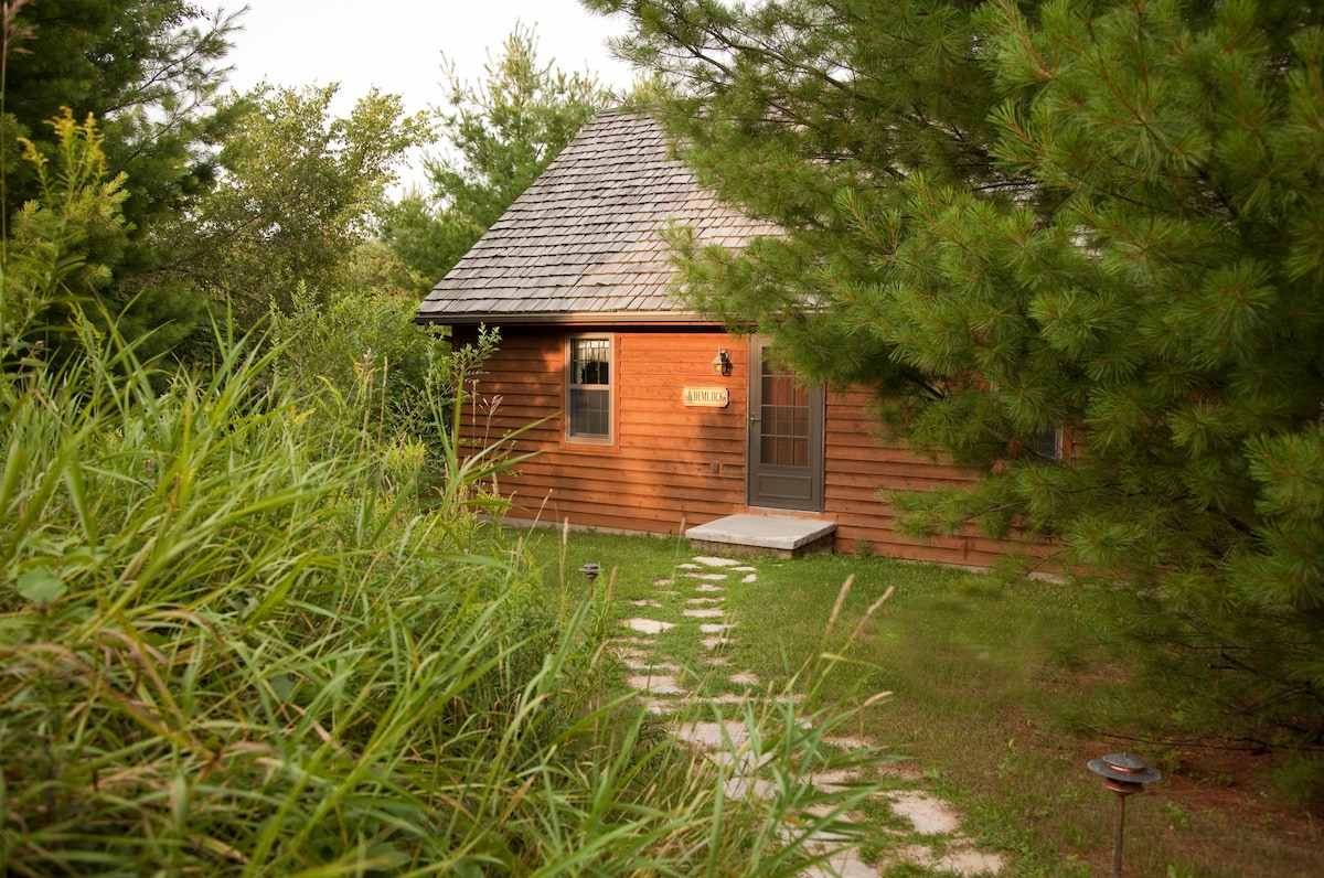 The cabin's exterior is surrounded by lush greenery and tall grasses, leading to a stone pathway. The rustic wood siding and charming shingles are complemented by a welcoming front door that is framed by trees, enhancing the serene and secluded environment.