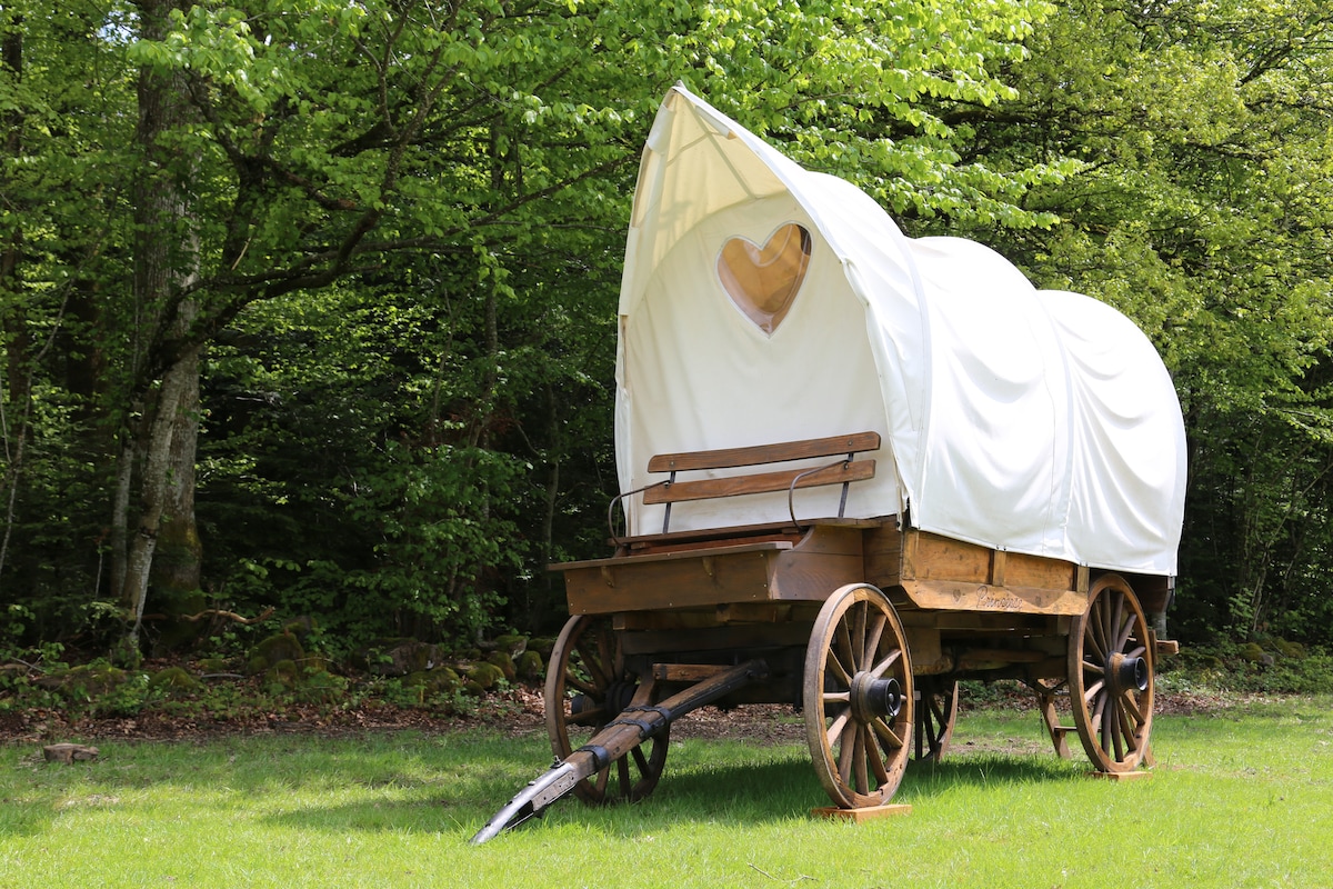 A unique covered wagon is set on a grassy area bordered by trees. The wagon features a white fabric canopy with a heart-shaped cutout, and wooden wheels are visible beneath. A wooden bench is attached to the front, adding to the rustic charm.