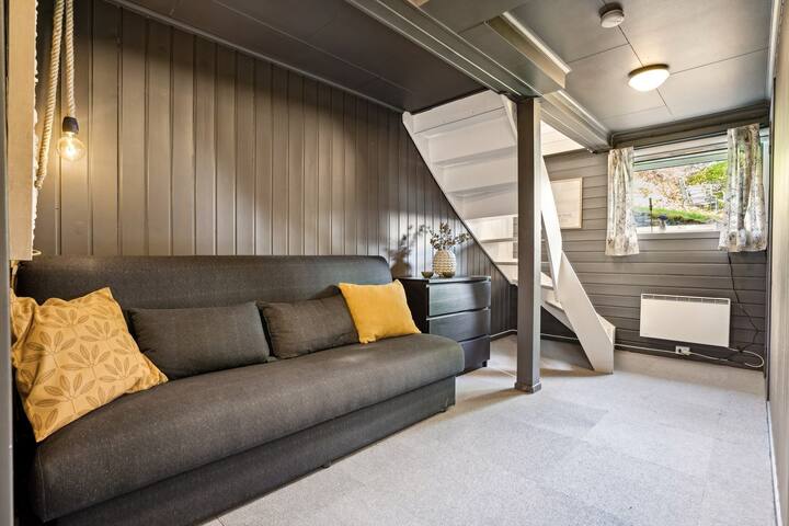 סלון/חדר שינה נוסף במרתף. ספה נפתחת עם שני אנשים. הכניסה לחדר הרחצה נמצאת בחדר הזה.