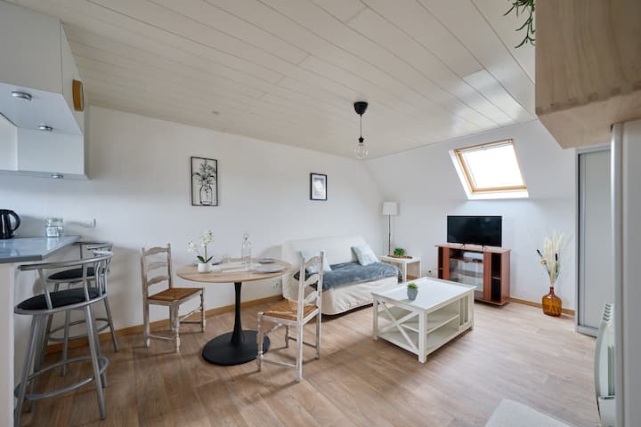 Charmant Duplex Cosy - Bois-d'Arcy
