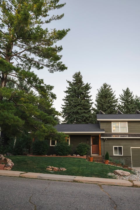 The Green House - Christmas tree, trails, modern