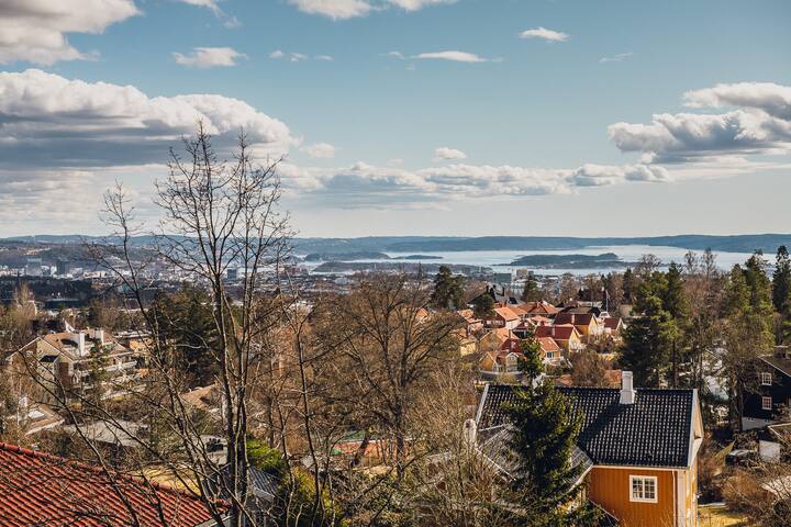 Villa Oslo Panorama scandinavian design home gallery image 2