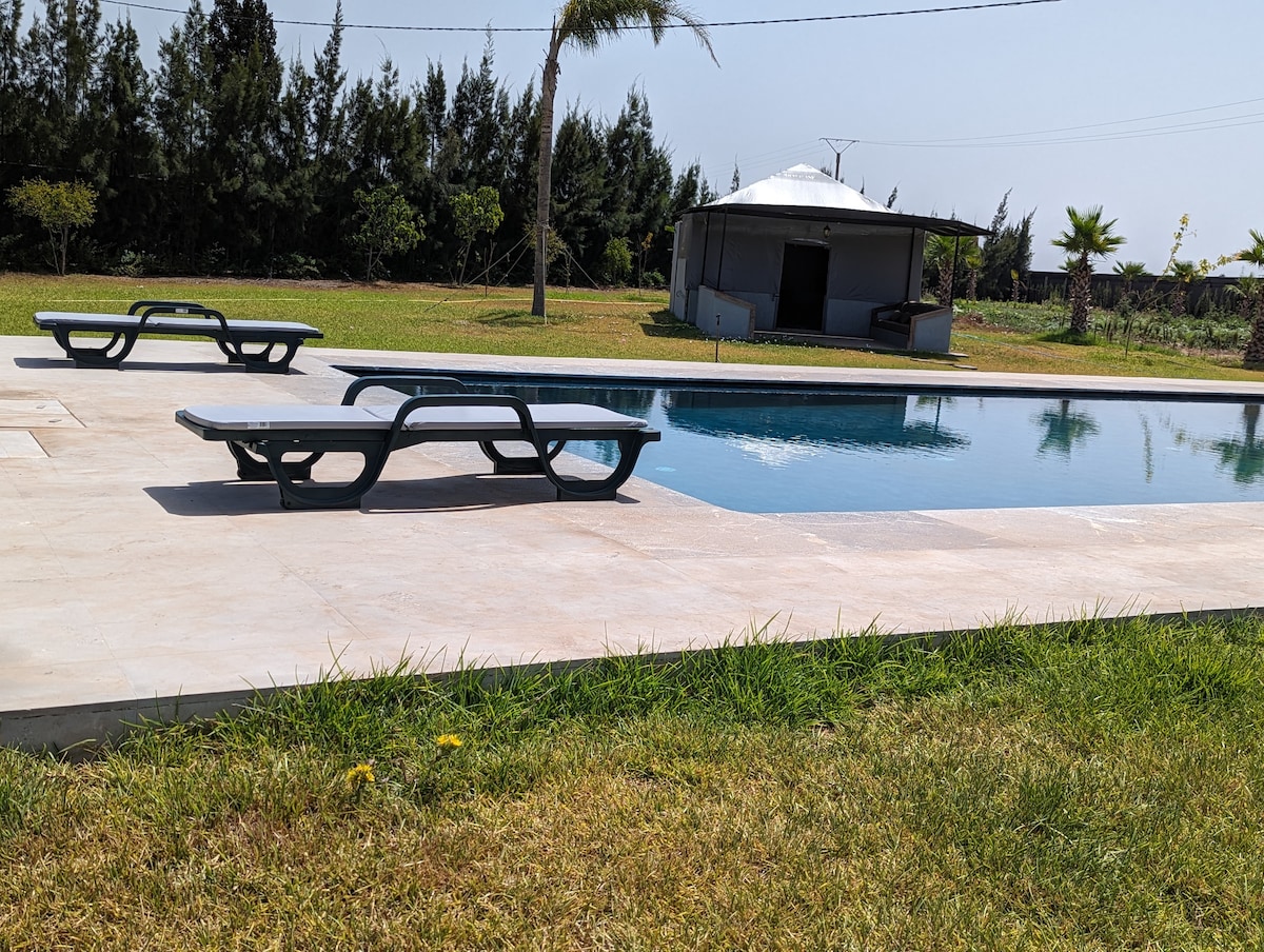 A well-maintained swimming pool is framed by a spacious patio, featuring lounge chairs for relaxation. Lush green grass borders the pool area, and a shaded structure is visible in the background, ideal for gatherings and leisure activities.