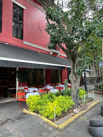 Casa Mexicana en Corazón de CDMX gallery image 3