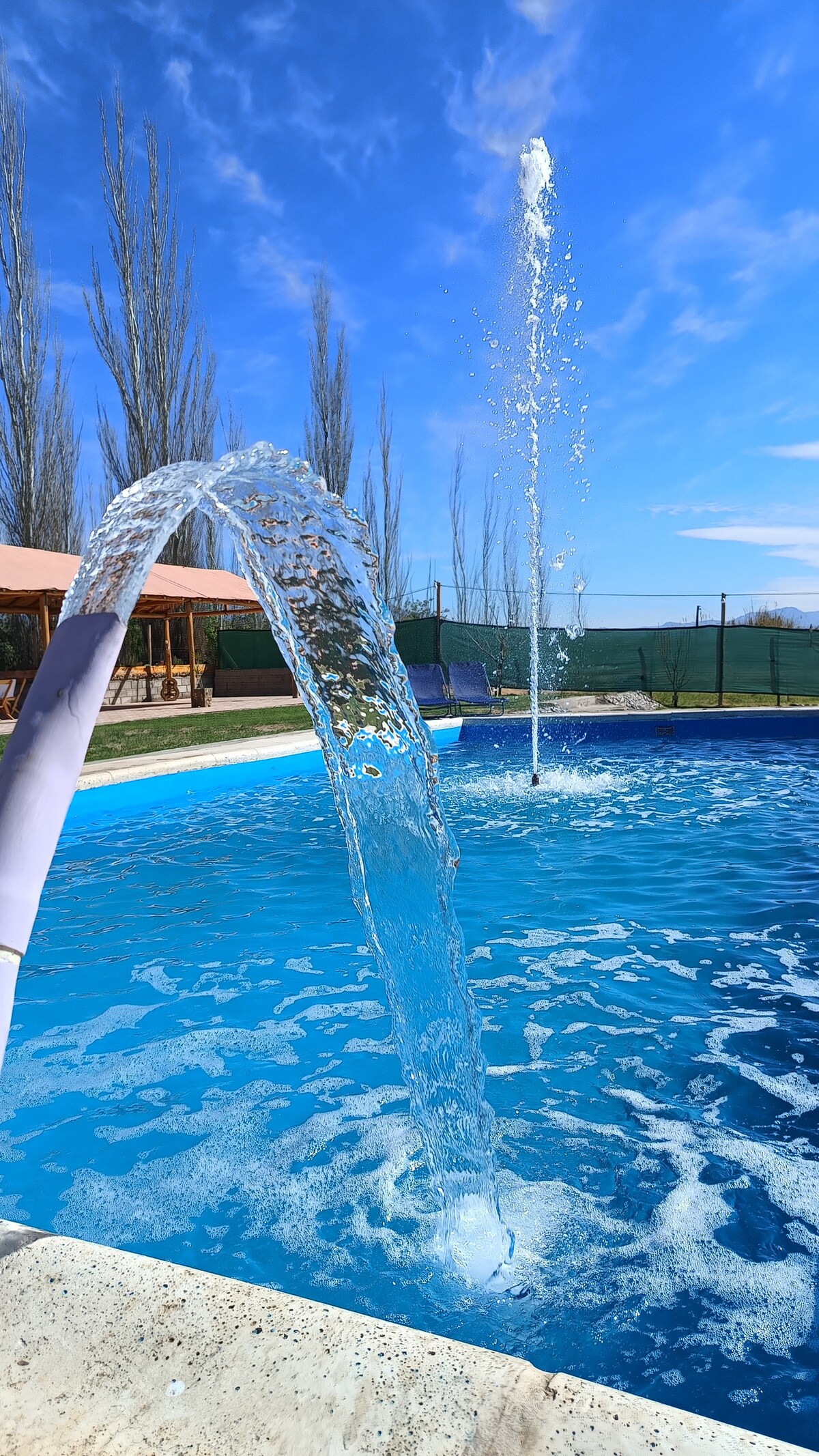A clear blue pool reflects the sky, featuring a water fountain that creates a gentle spray. Surrounding areas are marked by greenery and tall, slender trees under a bright blue sky, providing a serene and refreshing ambiance.