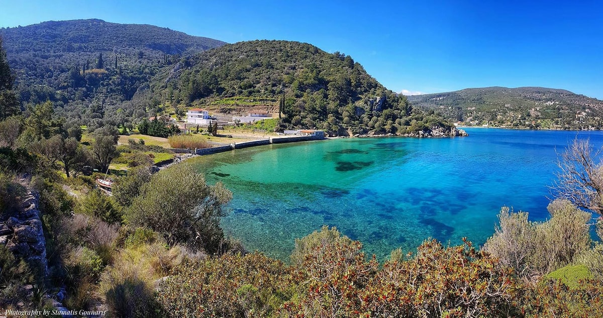 A panoramic view of a serene bay showcases clear turquoise waters framed by lush greenery and rolling hills. The coastline is dotted with natural foliage, while gentle waves lap against the shore, providing a tranquil setting that highlights the area's natural beauty.