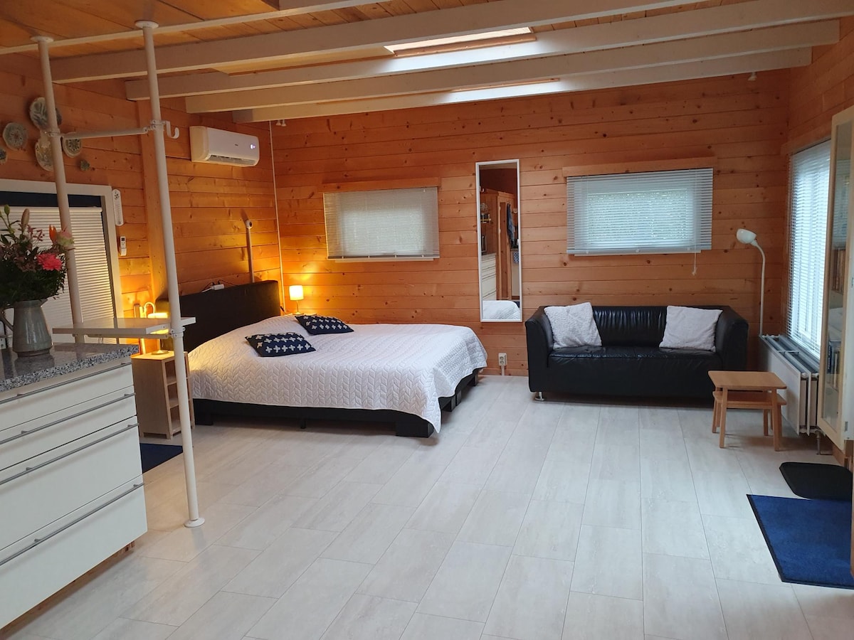 A spacious room features wooden walls and ceiling, complemented by a white bed with a dark headboard. A black sofa and a small table are situated in the corner, with a bright area rug and a floor lamp nearby. Natural light enters through several windows.