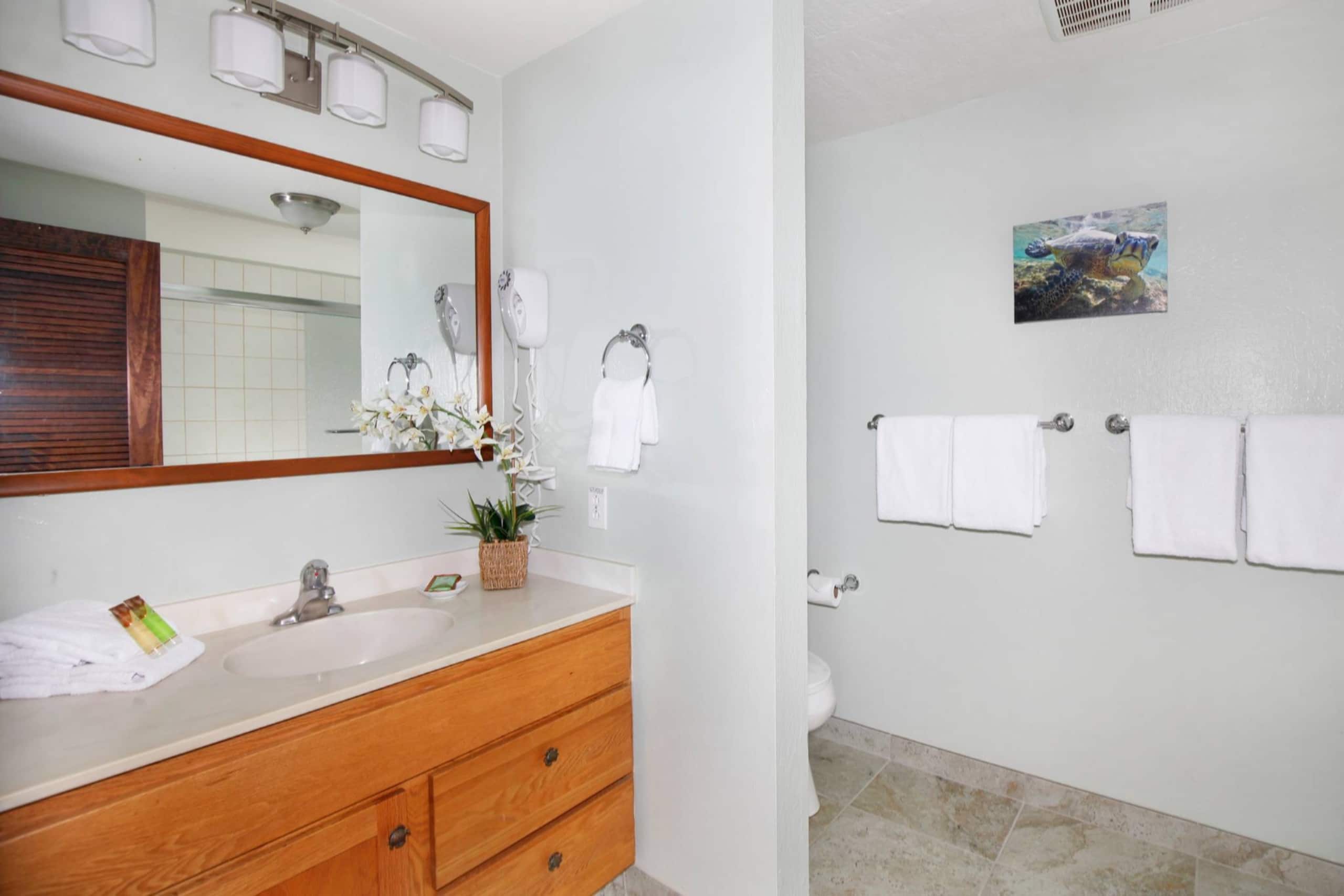 Condo in Koloa · ★4.97 · 2 bedrooms · 4 beds · 2 private baths - Image 11