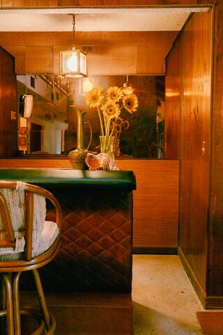 Mid-century modern dream home gallery image 5