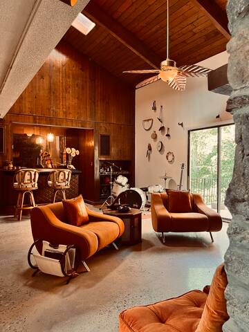 Mid-century modern dream home gallery image 3