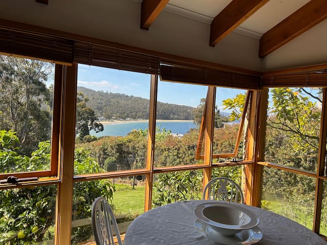 Family fun at the Beach
