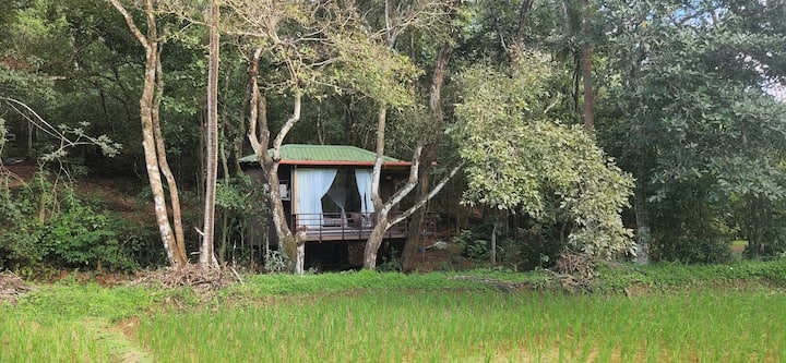 Machan @ Captain's Camp - Sirsi