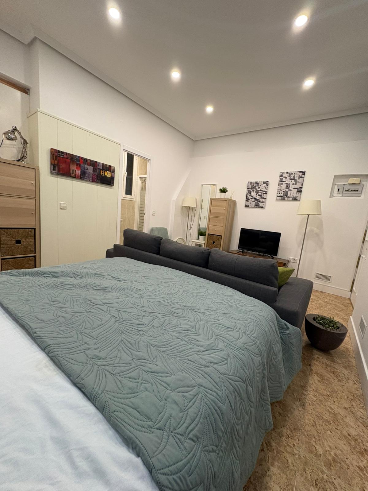 A cozy room features a spacious bed covered with a soft green quilt. A comfortable gray sofa sits in front of a small TV unit, which is accompanied by decorative wall art. Natural light enters through a window, illuminating the warm tones of the room.