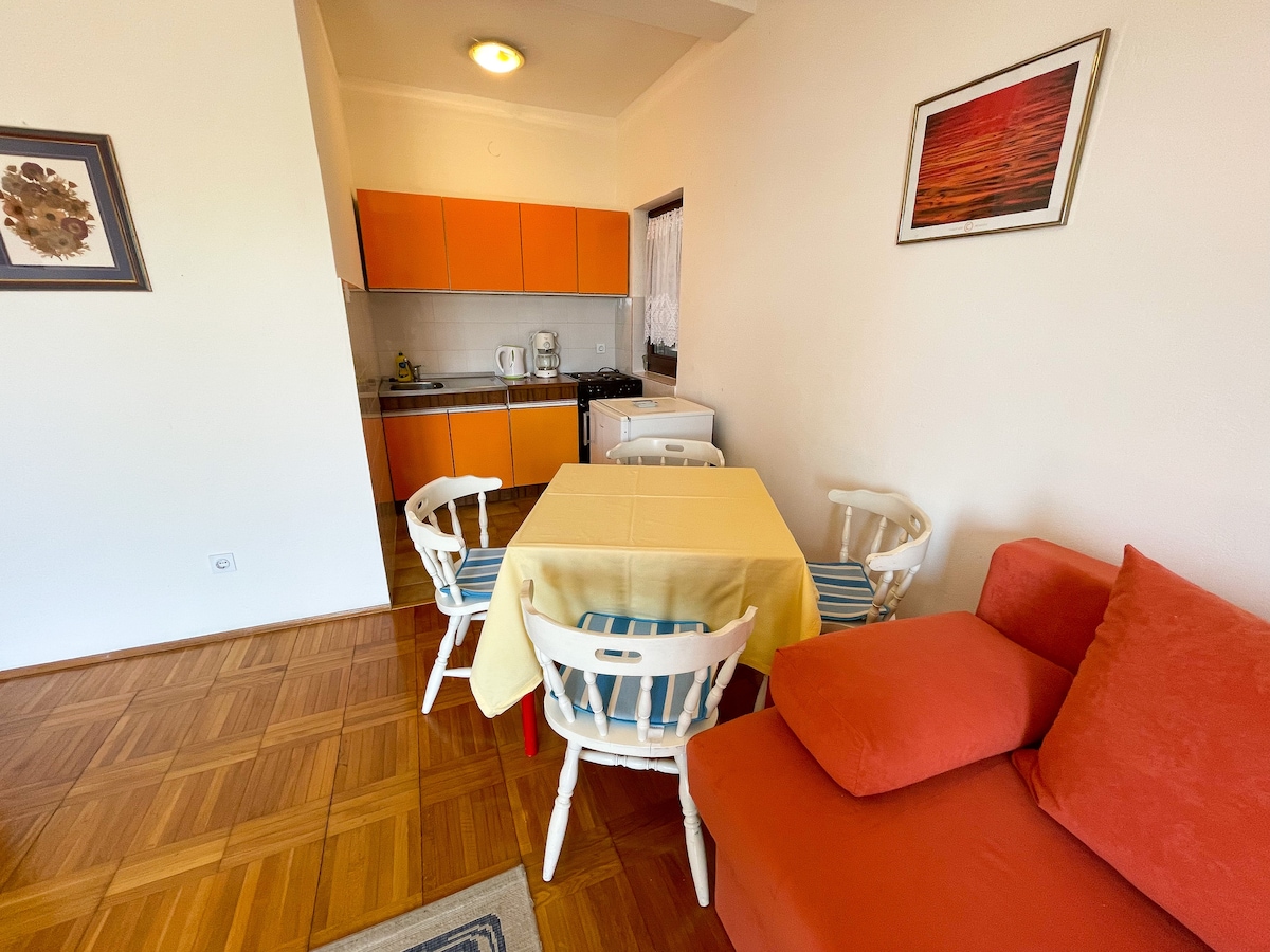 Apartman Šarić 1
