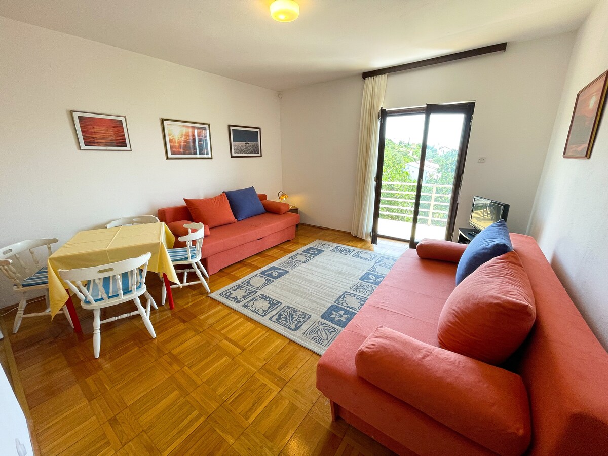 Apartman Šarić 1