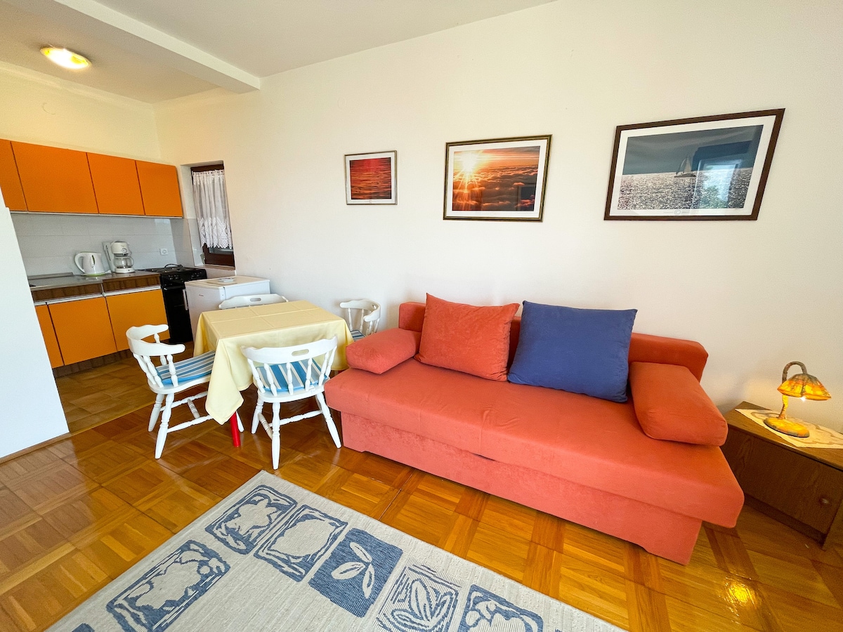Apartman Šarić 1