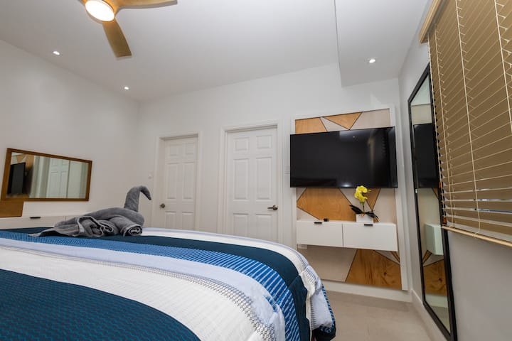 Cama tamaño king con vestidor y baño privado