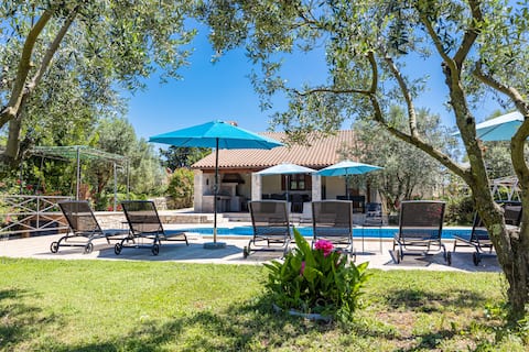 Vila Lavinia with  private pool