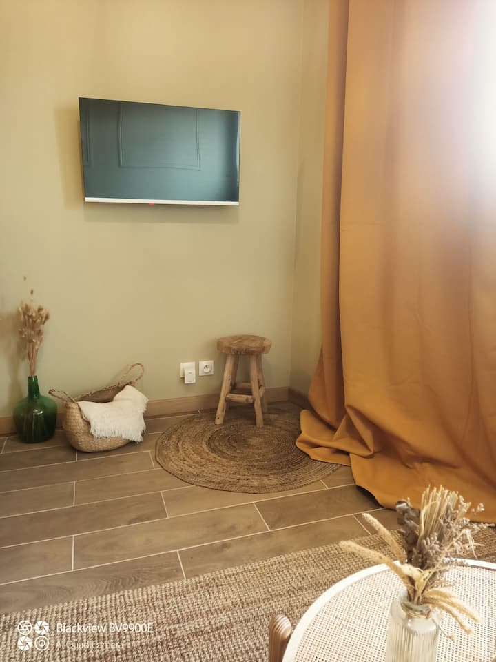 Studio Cocooning + Petite Salle De Cinéma Privée - Bourg-lès-Valence