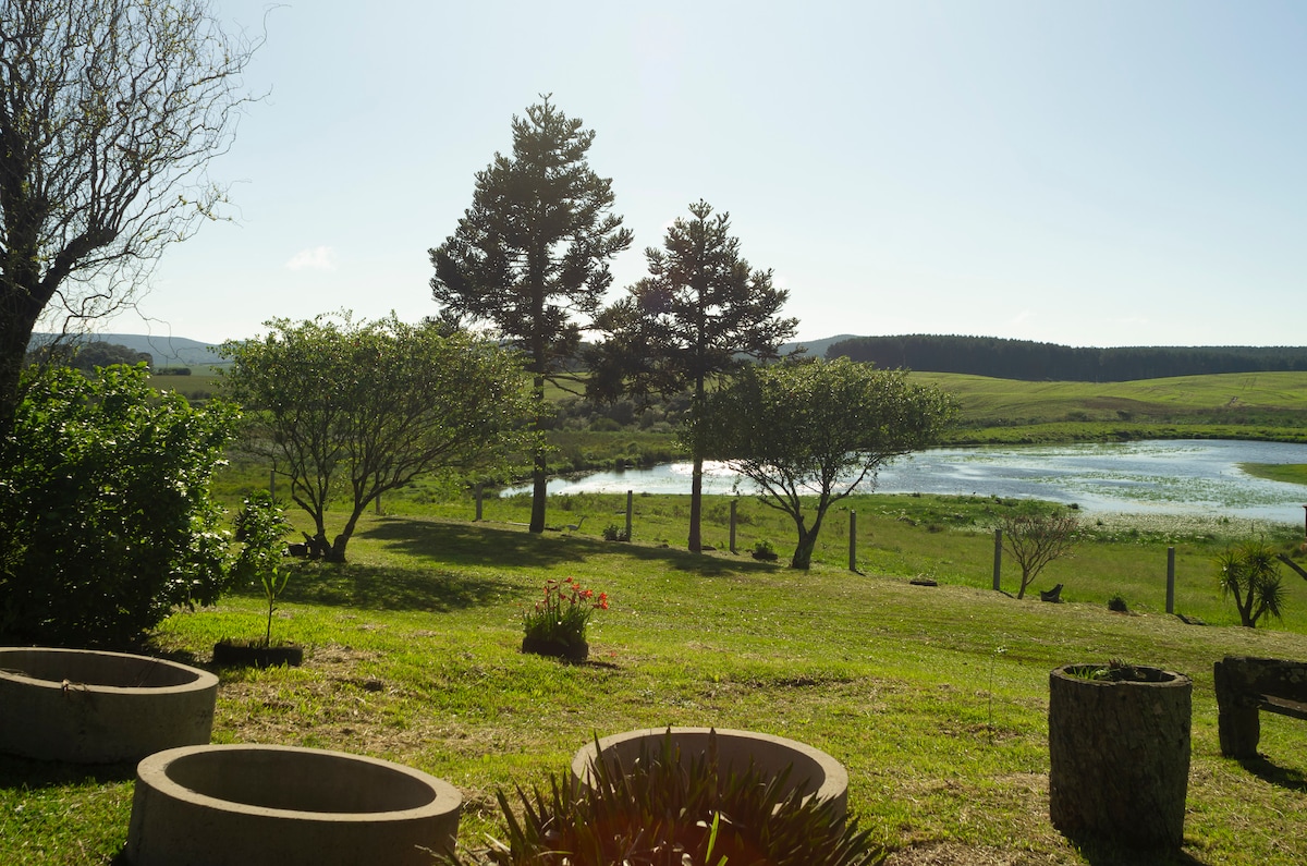 A serene outdoor scene features a lush green landscape with a tranquil pond in the background. Two tall trees stand alongside flowering shrubs, while circular stone planter beds are arranged in the foreground, inviting connection with the surrounding nature.
