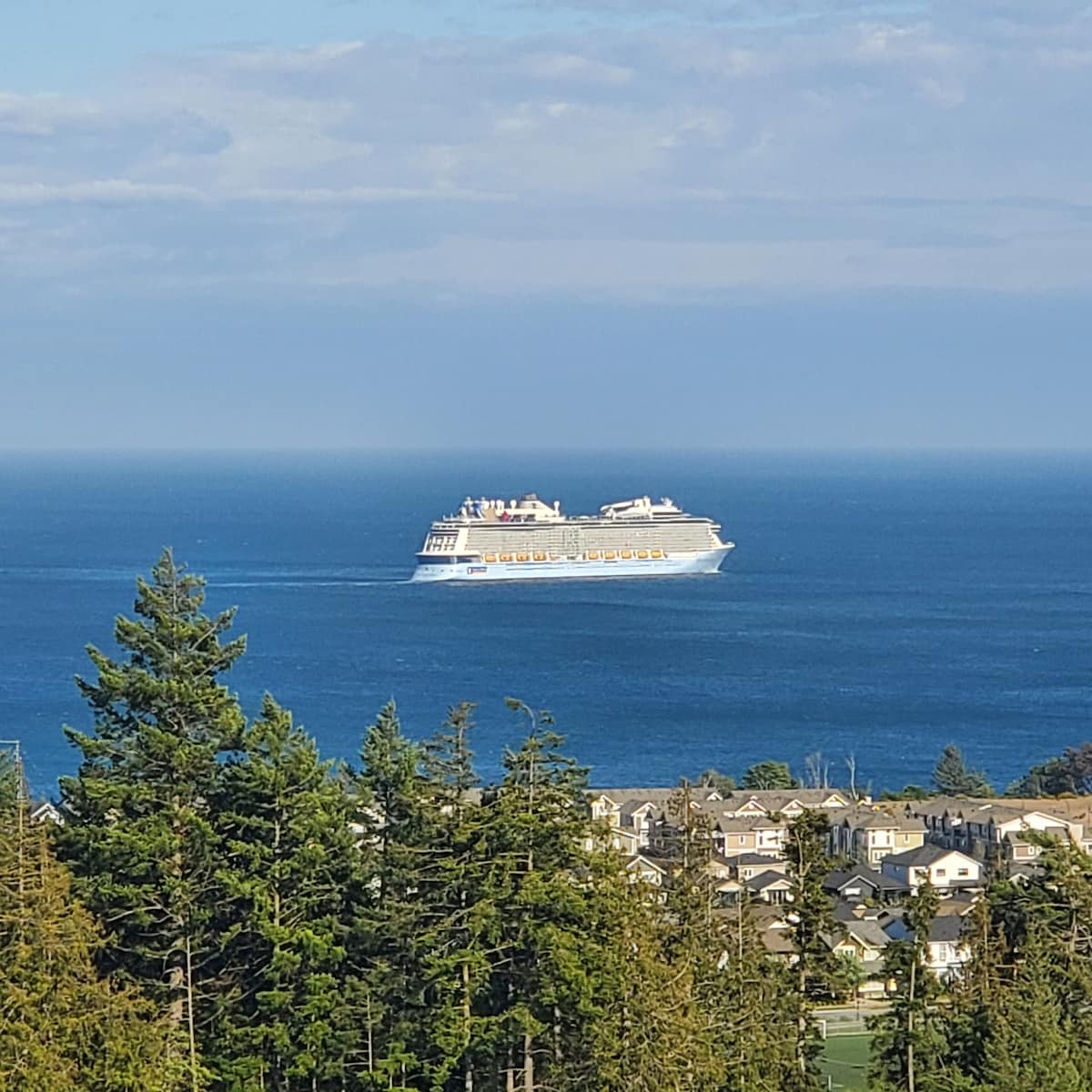A large cruise ship is visible sailing through blue waters, framed by a backdrop of tall trees and distant residential buildings along the shoreline. The horizon is marked by rolling waves under a partly cloudy sky.