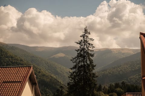 House with Friends in Sinaia