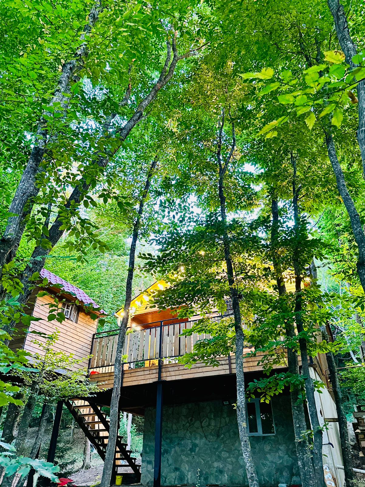 A two-story wooden cabin is nestled among tall trees, featuring a spacious balcony that offers views of the surrounding nature. Steps lead up to the entrance, which is framed by lush greenery, creating a serene and inviting ambiance.