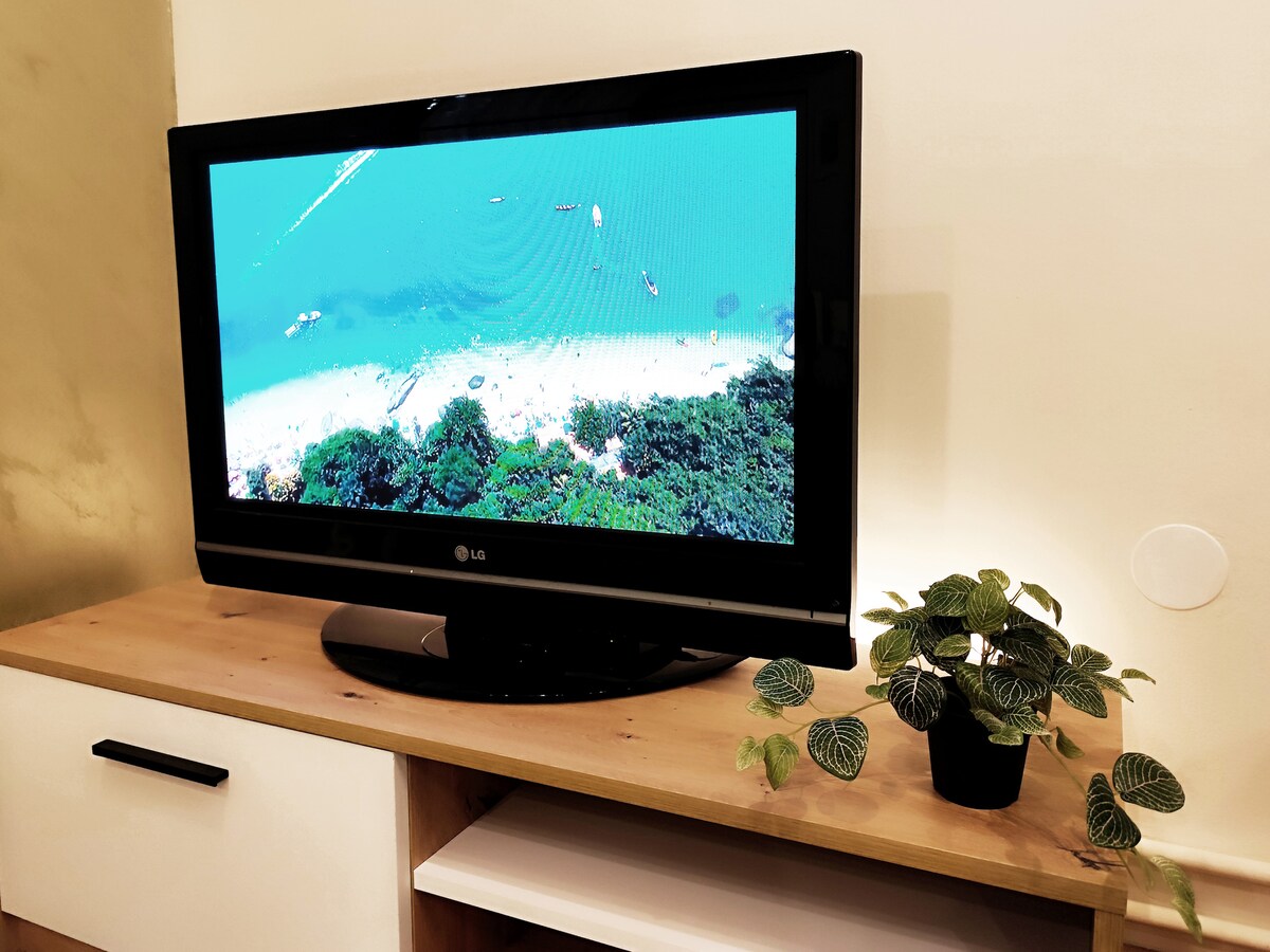 A television displaying a scenic coastal view is positioned on a wooden media console. A small plant in a black pot sits beside the television, adding a touch of greenery to the space.