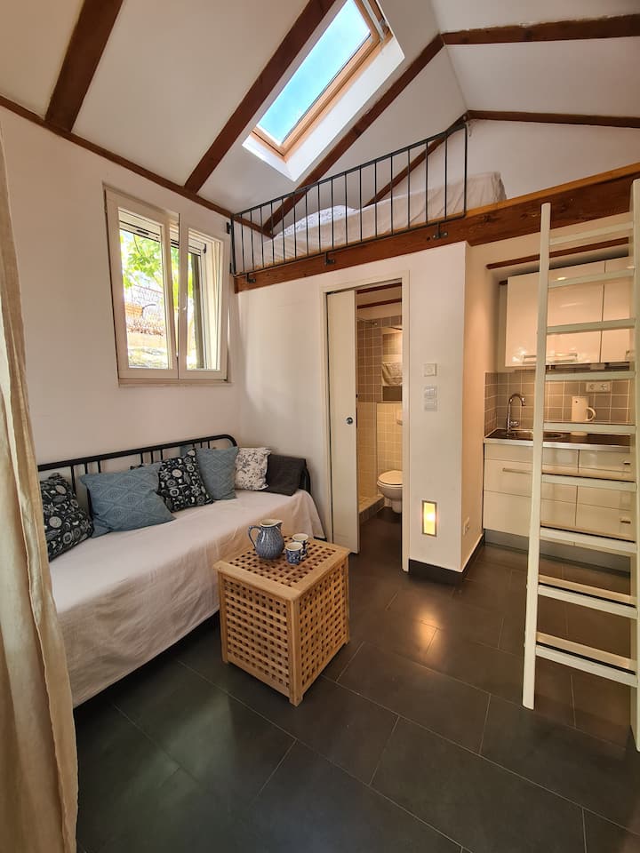 بيت حديقة مع سرير أريكة وشقة للنوم. حمام ومطبخ صغير.  مكيف هواء