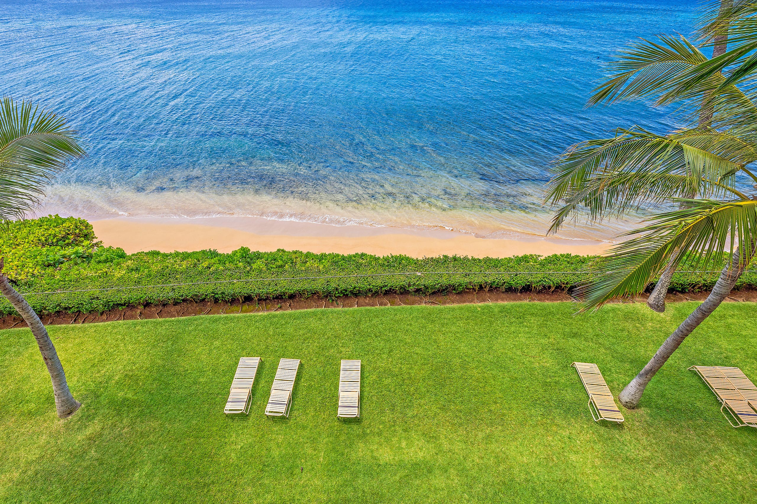 Condo in Lahaina · ★4.93 · 1 bedroom · 2 beds · 1 bath - Image 24