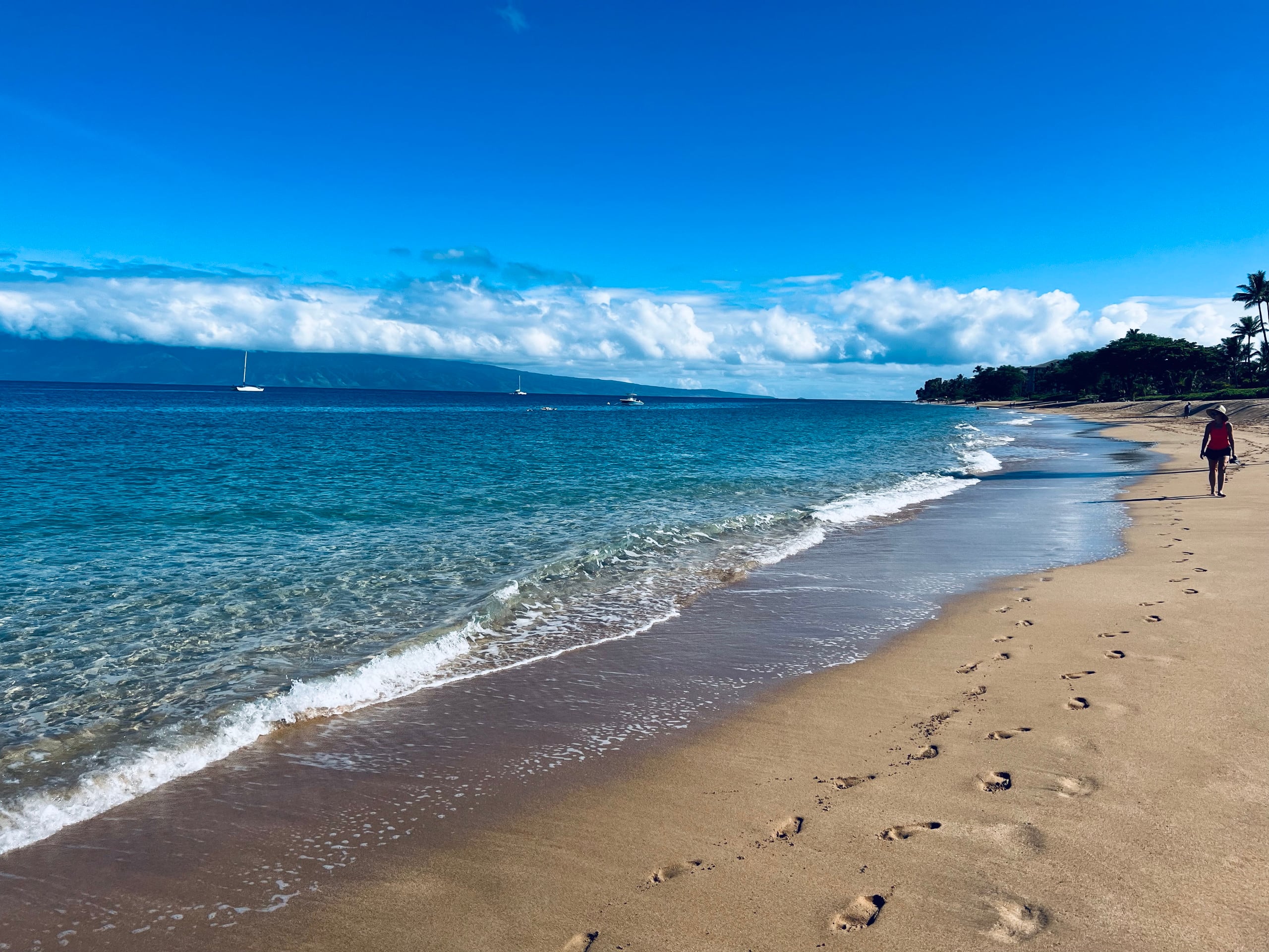 Condo in Lahaina · ★4.93 · 1 bedroom · 2 beds · 1 bath - Image 39