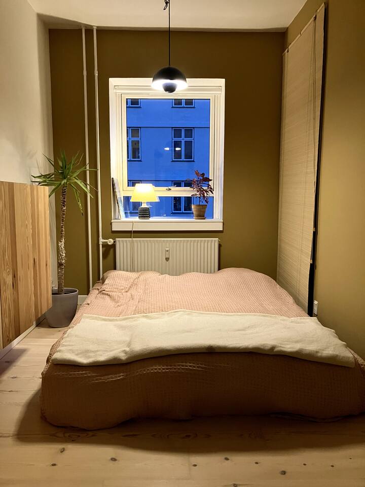 Допълнителна стая / офис 
Тук може да има бюро и нищо друго, или може да има единично легло, или (както е посочено на снимката) може да има двоен матрак