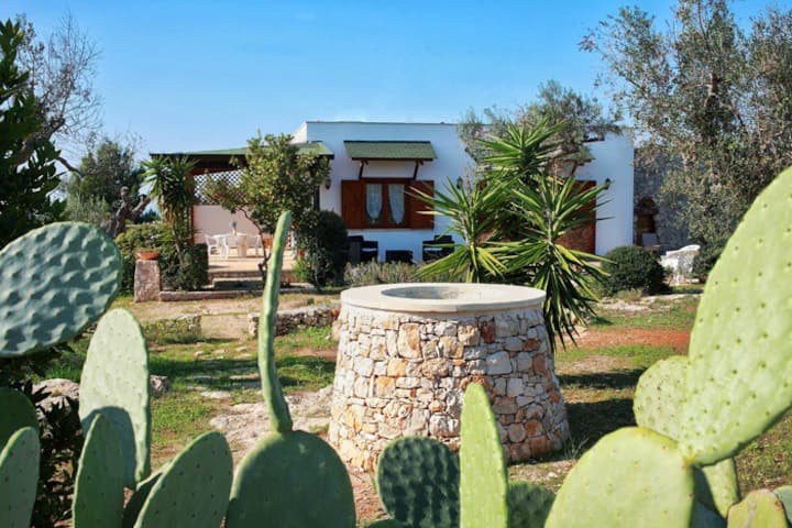 Rustic villa with "trullo" in olive trees garden
