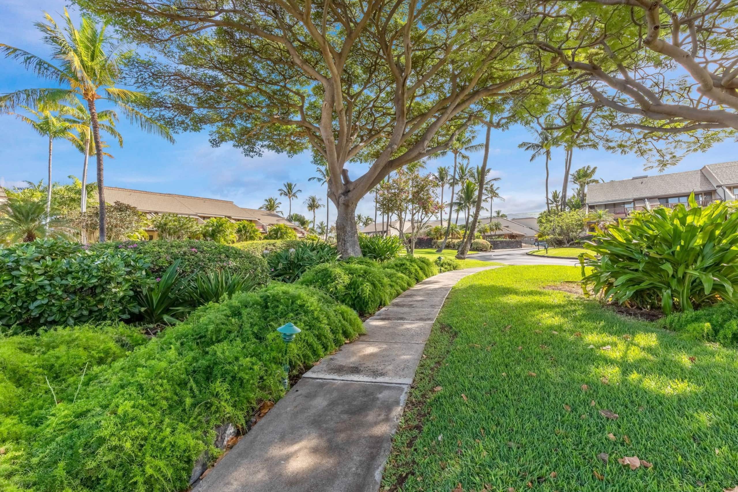 Honu Sunset Steps to the Beach! - Image 39