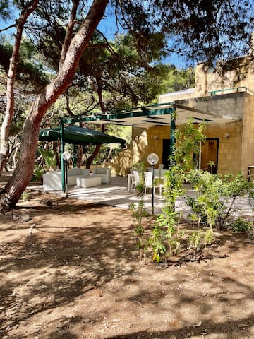 Villetta con Vista Wonderful pineta villa seafront