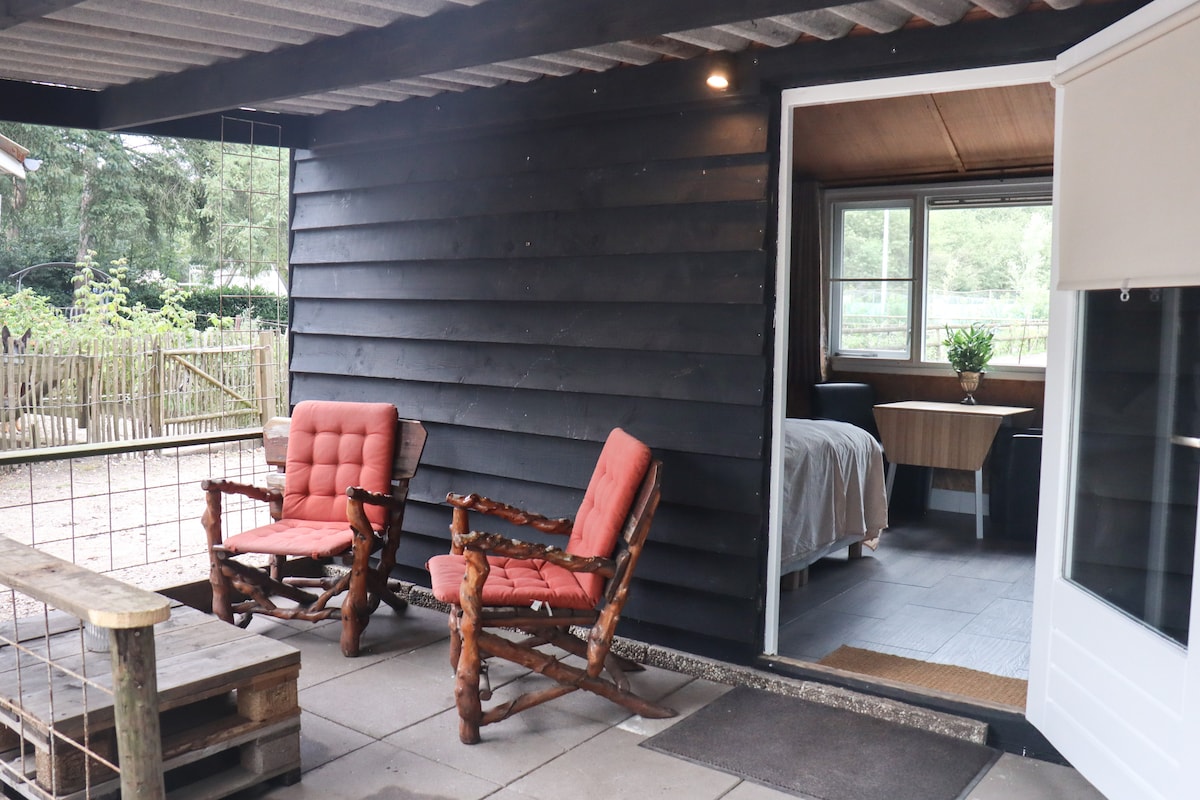 An exterior view of the accommodation features two rustic wooden chairs with red cushions positioned on a stone patio. The entrance leads into a light-filled interior space that includes a sleeping area and kitchenette, framed by large windows overlooking the natural surroundings.