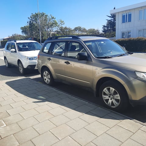 One bedroom apartment, car included